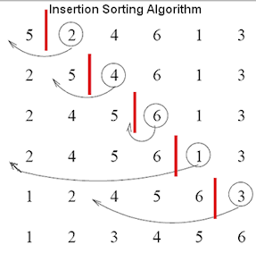 Algorithms-Insertion-Sort-Example