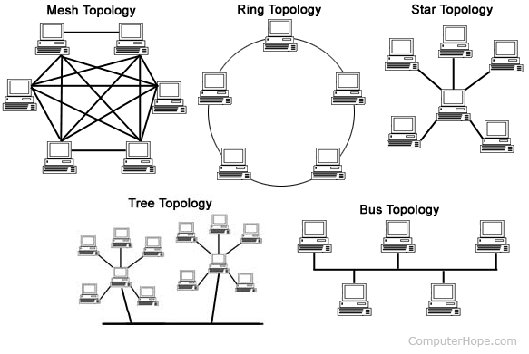 Network-Topology-Type-Example